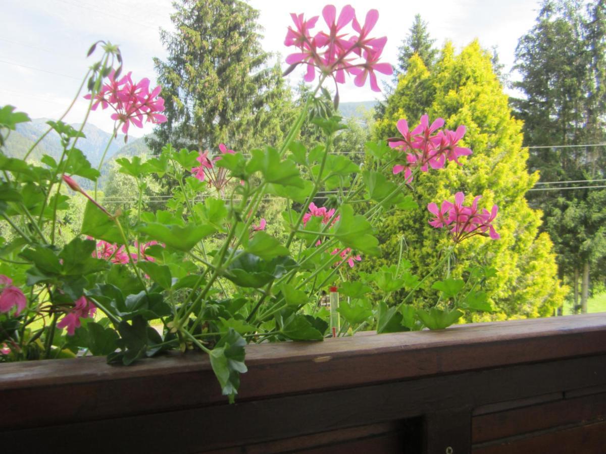Apartmenthaus Kestel Apartament Kirchbach (Carinthia)